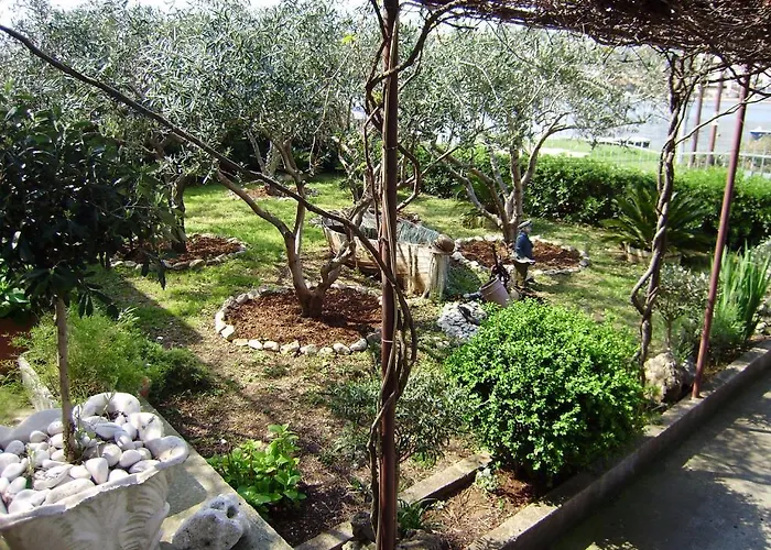 카페타노비 드보리 * 트로기르