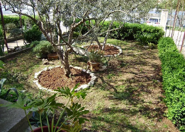 아파트 카페타노비 드보리