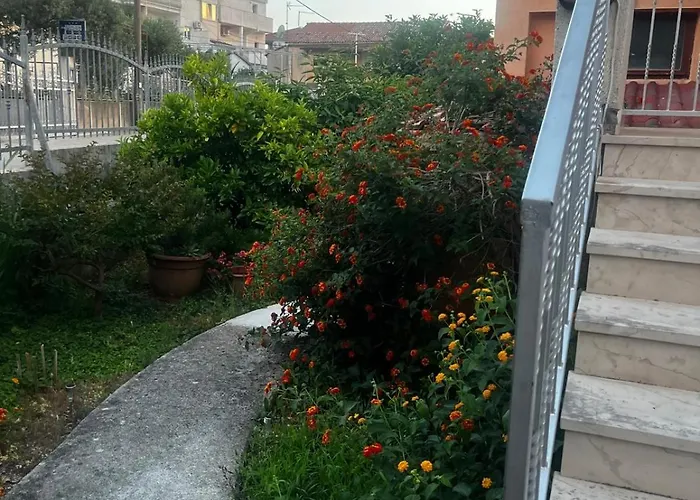 카페타노비 드보리 트로기르